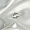 Anillo Otton