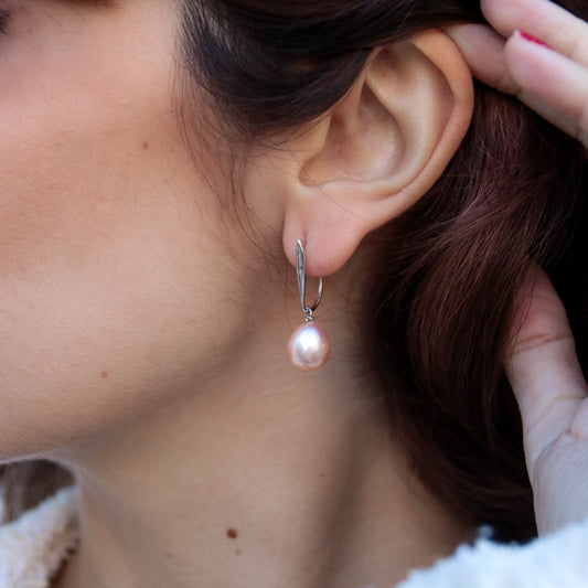 Caravana de Plata Holi